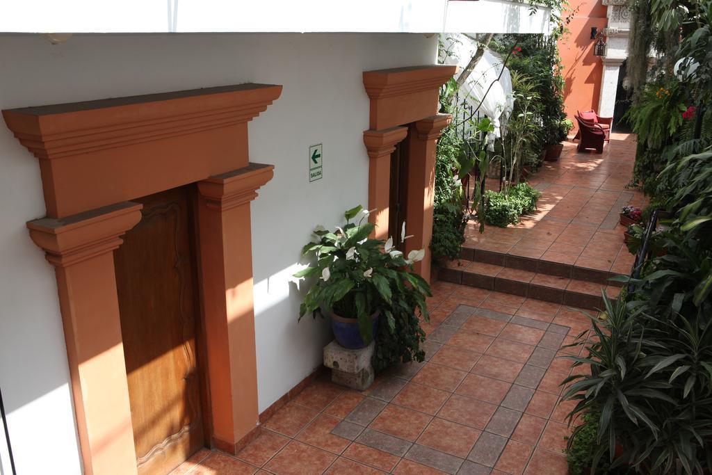 Molina Lima